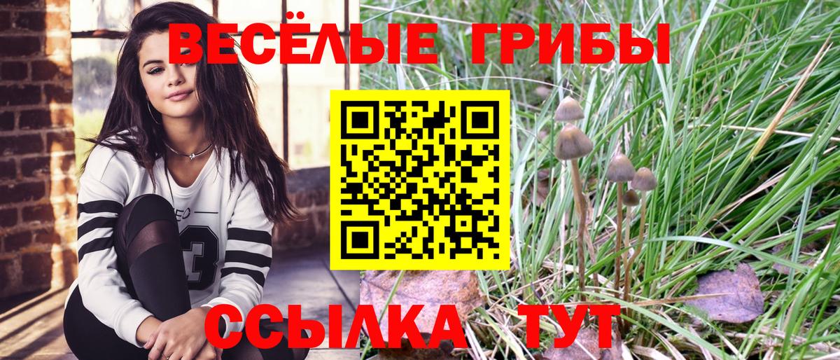 Галлюциногенные грибы мухоморы Каменск-Уральский
