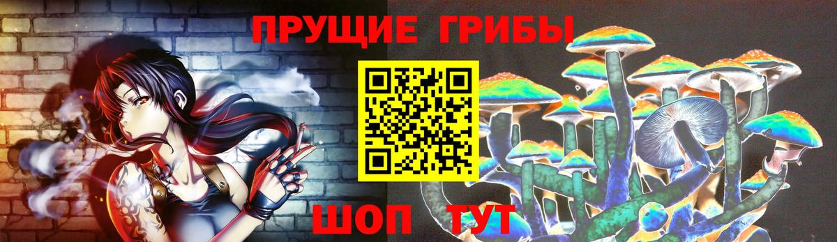 Каменск-Уральский  Галлюциногенные грибы Psilocybe  Вход с VPN 